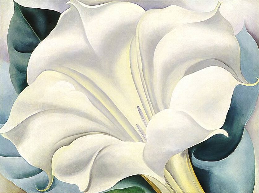 the-white-flower