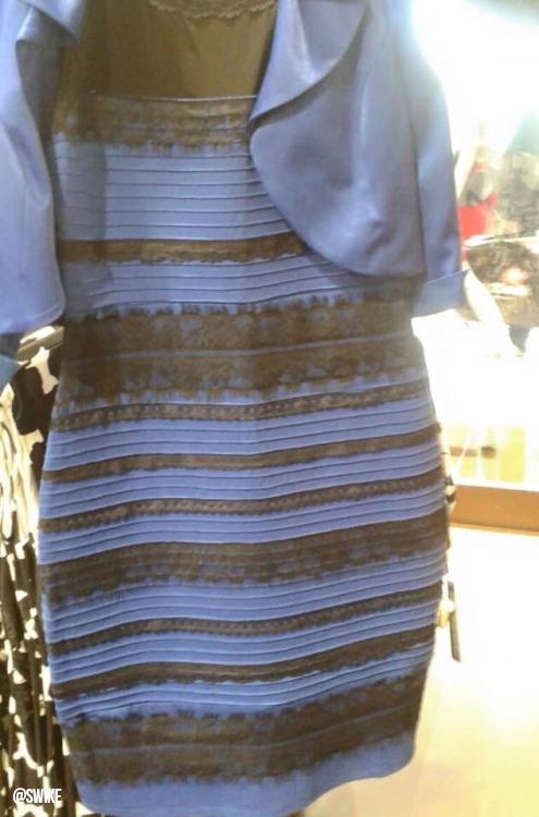 the dress that launched ten thousand Twitter tirades. 