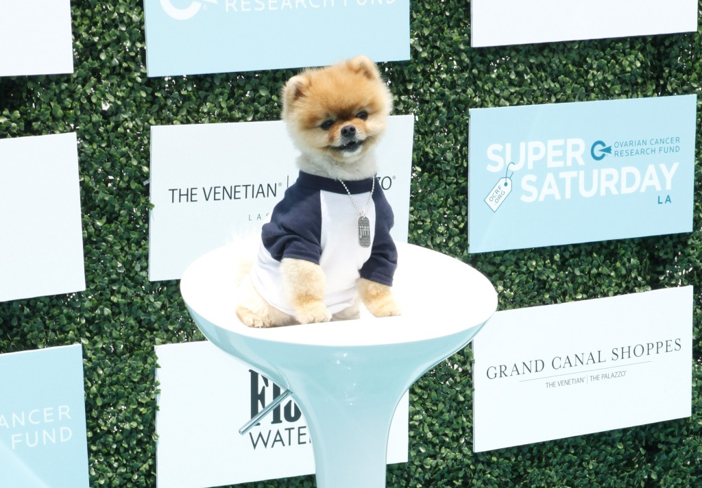 Jiff The Pom arrives to the 2nd Annual Super Saturday LA hosted by Ovarian Cancer Research Fund at the Barker Hanger, Santa Monica CA.