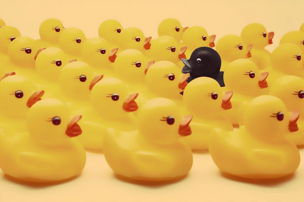 othering concept - one black rubber duck among many yellow rubber ducks