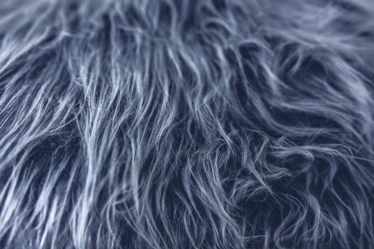 texture-designer-grey-fur