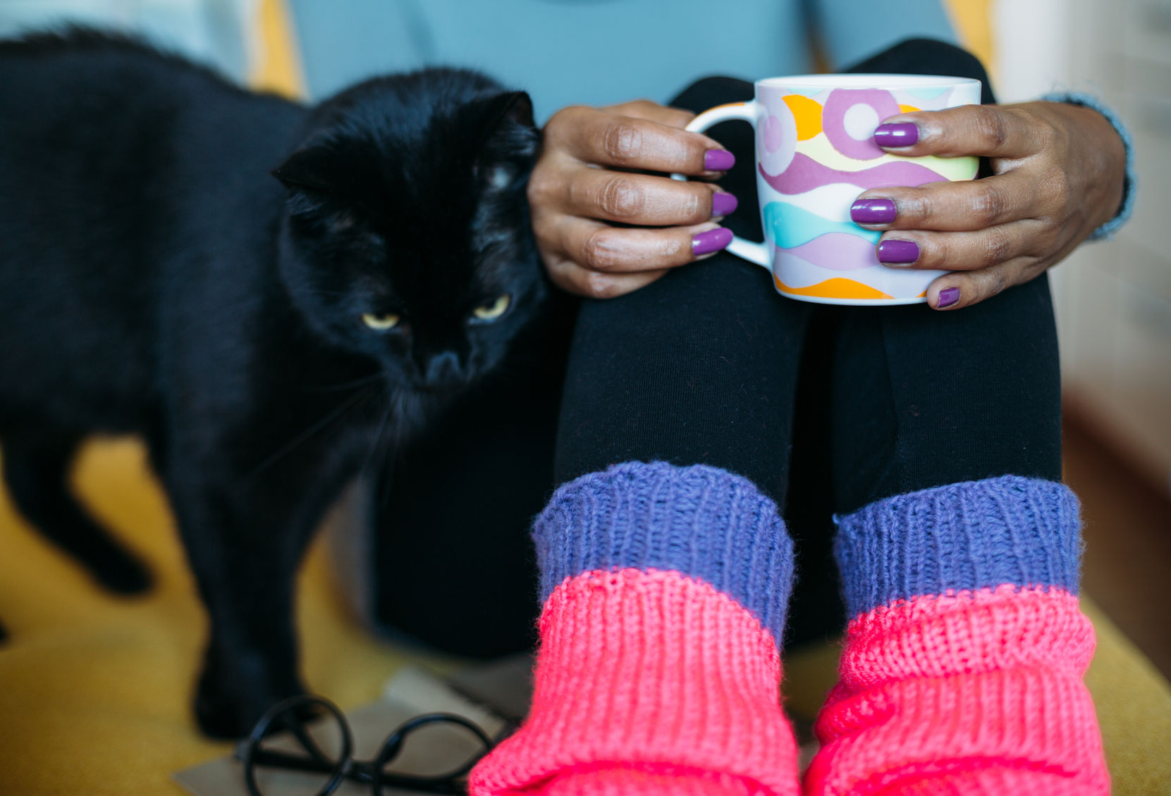 33090174 - black cat rubbing against woman drinking tea on couch